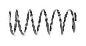 Пружина ходовой части BSG купить